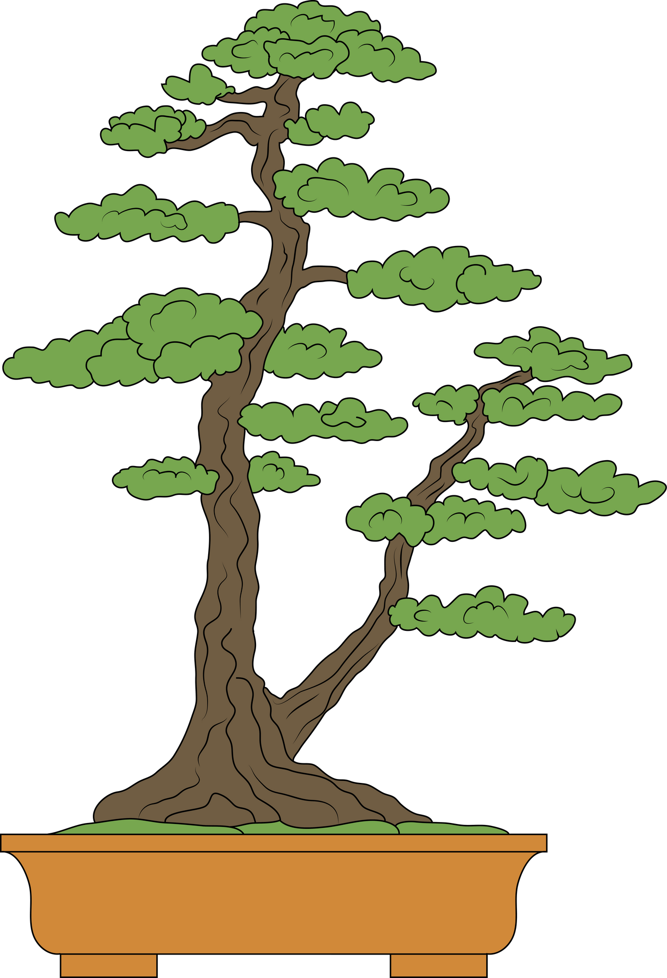 Bonsai sokan style. The art of growing dwarf plants.